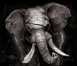 rogue_oliphant.jpg#asset:3773