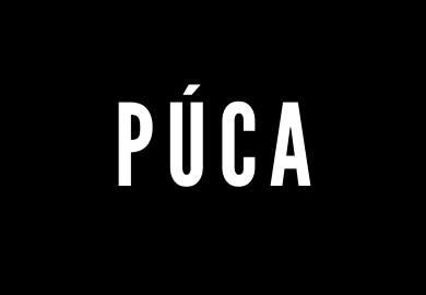 WOTW_36_puca_thumbnail.png#asset:11638